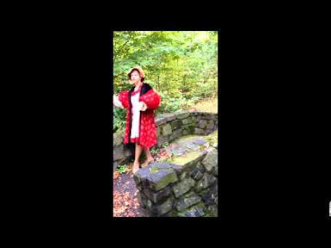 Hamlet Soliloquy Act 4 Scene 4