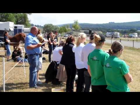 DJIM 2010 - Jungzüchter & FIZO-Praxis - isibless