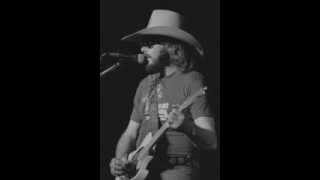 Hank Williams Jr- Hog Wild