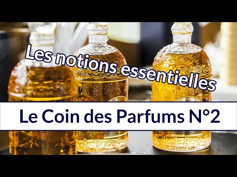 Le coin des parfums n°2 : les notions essentielles pour comprendre la parfumerie