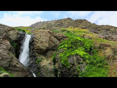 Psalm 14 Audiobook with Calming Waterfall Sounds (Treasury of David by Spurgeon)