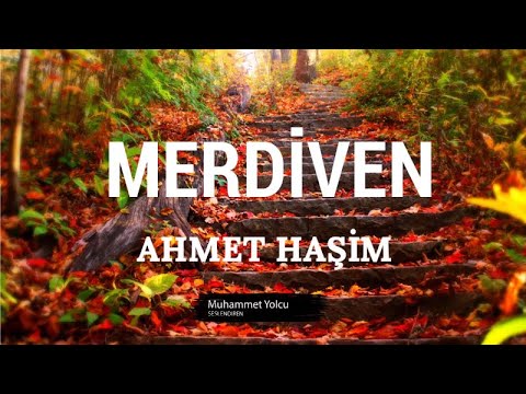 Leiter Gedicht | Ahmet Hashim