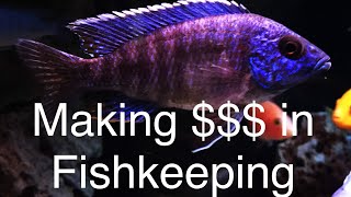 Making Money in the Fishkeeping Hobby