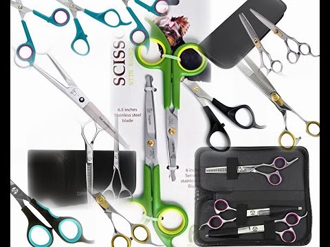 Top 10 Professional Grooming Scissors For Dogs Reviews 2016 Video