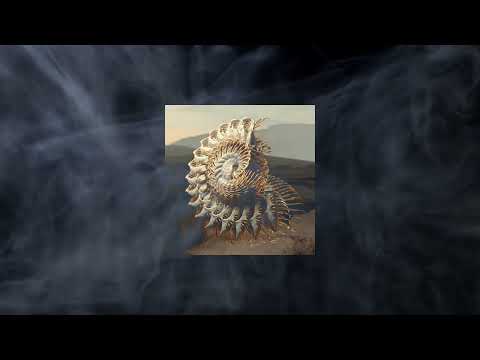 Innellea & Colyn Feat. Braev - Downfall (Extended Mix)