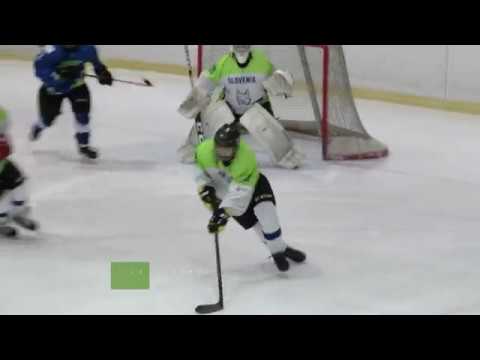 Moščanski hokejisti