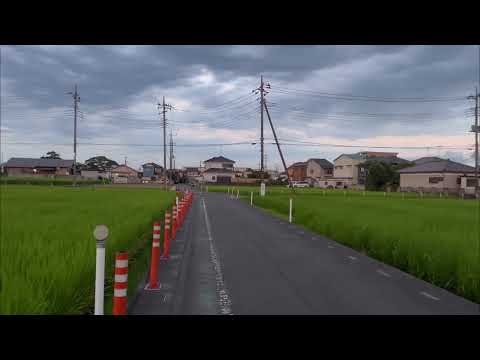 Summer in Nishi-ku, Saitama