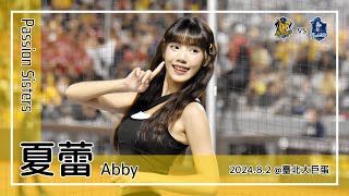 【台湾チア】夏蕾 Abby | Passion Sisters | 江坤宇 應援曲 + 嗆司曲 黃潮來襲 [中文歌詞]