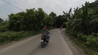 To Thay temple