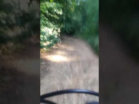 Downhill ride Tarna Mare