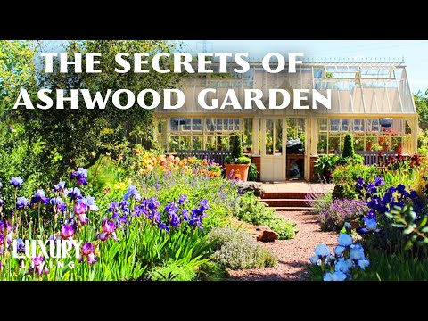 It's a Symphony in Every Season | Johns Garden at Ashwood | Great British Gardens