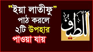 Download lagu ইয়া লাতিফু পাঠ করলে কি হয়? ইয়া লাতিফু নামের আমল ও ফজিলত || ya latifu name amol and fojilot mp3 Download lagu ইয়া লাতিফু পাঠ করলে কি হয়? ইয়া লাতিফু নামের আমল ও ফজিলত || ya latifu name amol and fojilot mp3