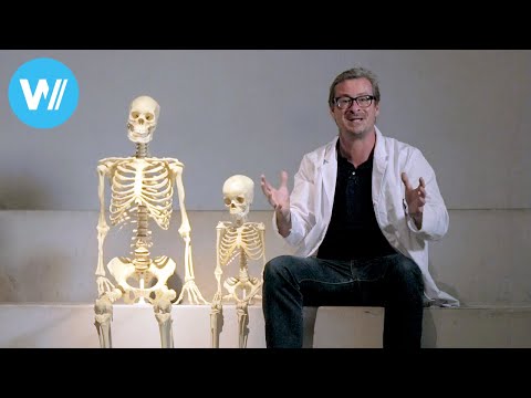 What happens to us when we die? | "Death: A series about Life" - Episode 1/5