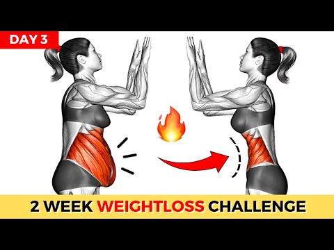 Do This 30 Min Everyday To Lose Weight Belly Fat 2 Weeks Shred Challenge DAY 1