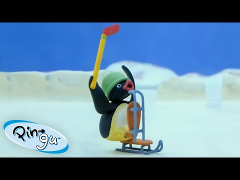 Pingu Plays Ice Hockey 🐧 | Pingu - Official Channel | Cartoons For Kids