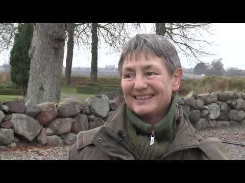 Onsdagstur Marienborg park og skov