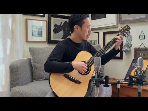 Brian Applegate SJ Fan Fret Multiscale Brazilian Rosewood image 18