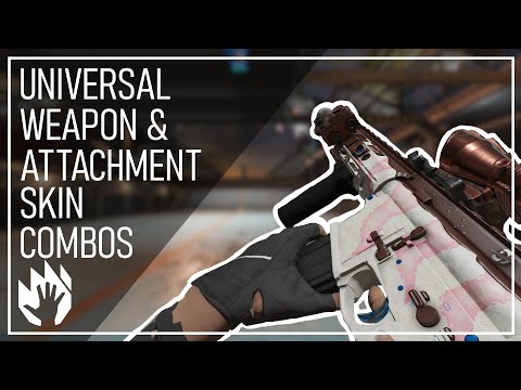 Universal Weapon & Attachment Skin Combos | RAINBOW SIX SIEGE