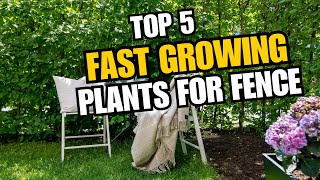 Fence Extra Privacy Ideas: Top 5 Fast Growing Plants for Fence!