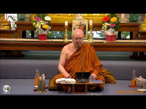 MN111 Anupada Sutta - Step by Step | Ajahn Brahm | 13 January 2019