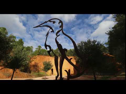 Video vignette