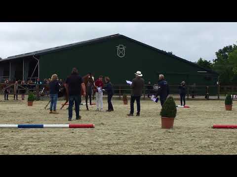 Fohlenchampionat am 25.06.2018 der Hengststation Maas J Hell