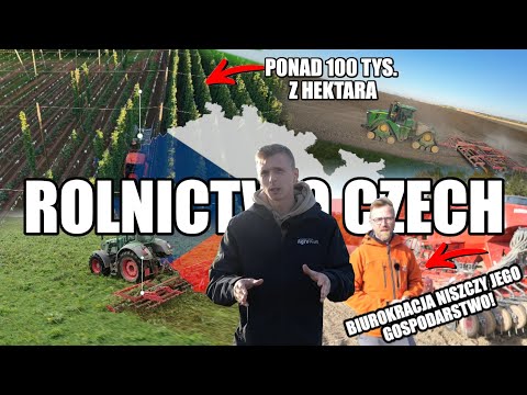 The whole truth about Czech agriculture! This crop generates over 100,000 złoty per hectare!