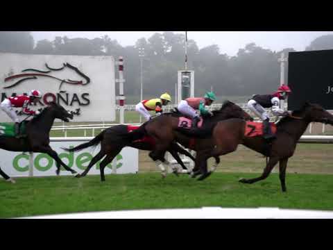 220724 c07 DON MUSA (BRZ)