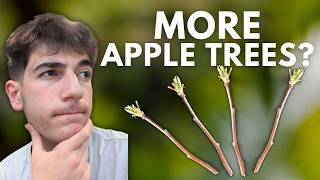 How to Propagate Apple Trees from Cuttings (Duplicate Your Fruit Trees Easily!)
