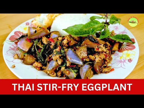 Thai Eggplant Sir-fry with basil & chicken (The perfect recipe EVER!)
