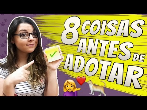 , title : '8 Coisas que você precisa SABER ANTES de ADOTAR um Gato!'