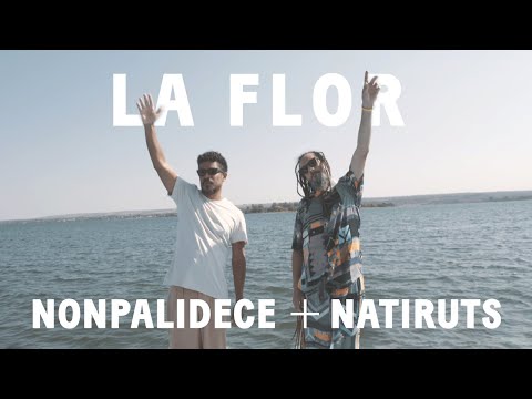 Nonpalidece and Impronta Music