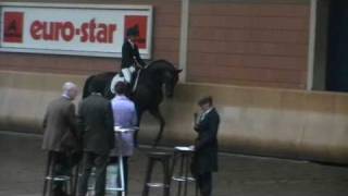 Video of Sir Fashion