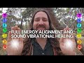 Full Alignment Energy Healing Cleansing Negative Energies Universal Life Force Energy Healing