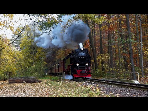 Herbstdampf im Harz / Autumn steam in the Harz Mountains