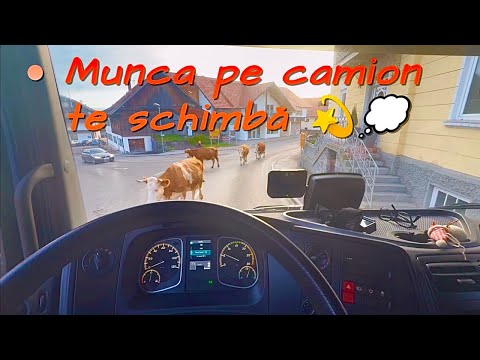 How working on a truck changes you 🚛 💭