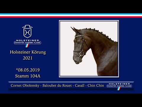Holsteiner Körlot 2021 | Nr. 29 v. Cornet Obolensky - Baloubet du Rouet - Casall - Chin Chin
