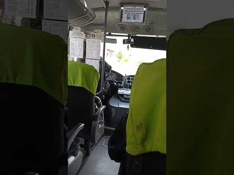 viajando a Pahuil. Un hermoso pueblo de Chanco.