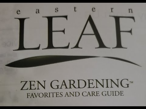Eastern Leaf Unboxing 1