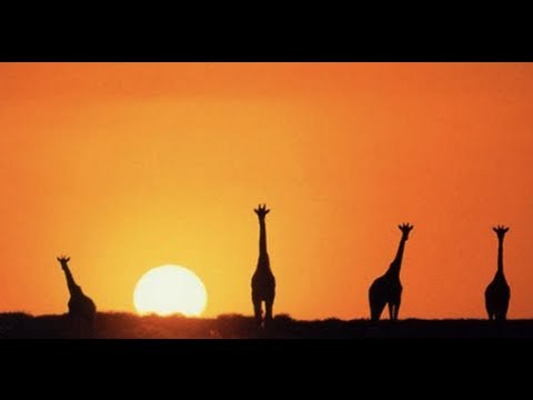 Miguel Graça, Soulnotmind feat. Darnell Robinson - Speak My Mind (Official Video)