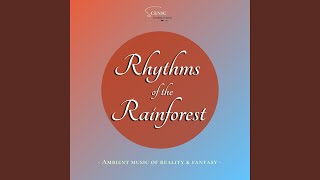 Rhythms of the Rainforest