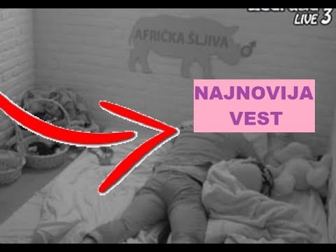 VRATIO se Filip Car - ODMAH ULETEO u izolaciju - Dalila ostala u ŠOOOKU #zadruga #zadrugainfo