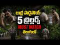 5 Recent Best OTT Movies You Should Watch In Telugu Prime Video Netflix Jiohatstar HITCINIMA