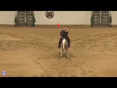 2025 Quarter Horse Congress Open Futurity Finals Sean Johnson on The Gentlemann