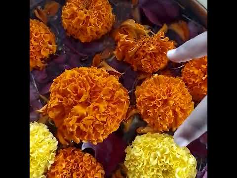 decorating flowers..👌👌