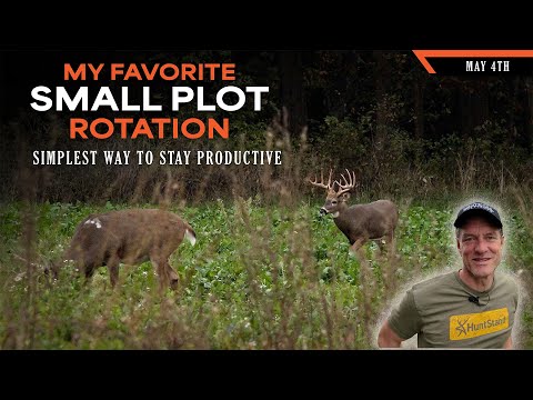 My Favorite Small Plot Rotation - Keeping Things Simple | Dream Farm w/ Bill Winke