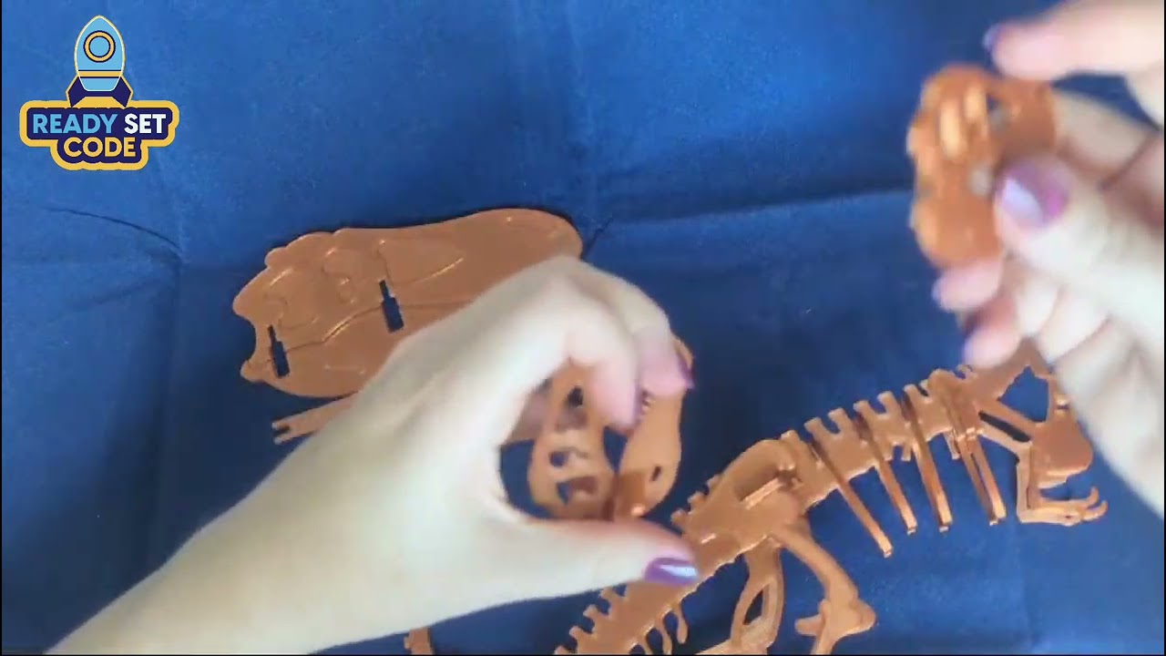 3D Printed Dinosaur Puzzle Instructional Video
