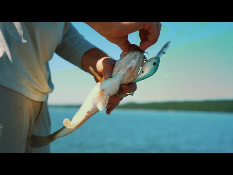Berkley Dredger Crankbait: Pro Fishing Techniques Revealed by Josh Bertrand