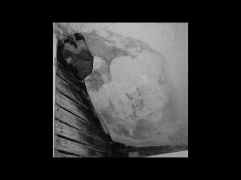 02. The Virus and Antidote - Can'tFoolMe (ft. ZOTiYAC)