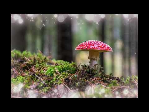 Pinkster Koortjies-ek sal jubel in die Here-Loof die Here